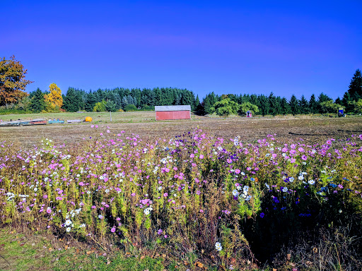 Railroad Company «Flower Farmer», reviews and photos, 2512 N Holly St, Canby, OR 97013, USA