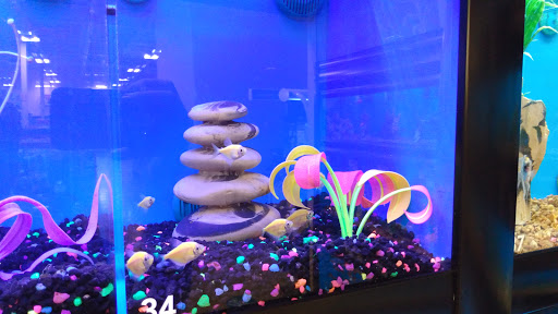 Pet Supply Store «PetSmart», reviews and photos, 10401 US-441, Leesburg, FL 34788, USA