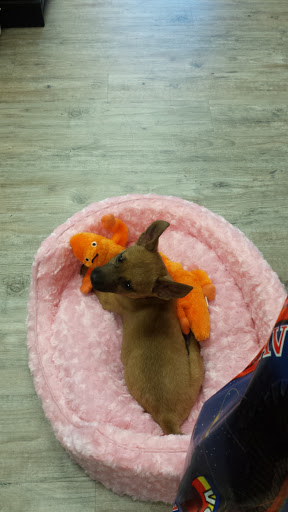 Pet Store «Pet Town», reviews and photos, 51 WA-300, Belfair, WA 98528, USA