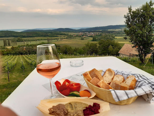 Opinii despre Strommer Pincészet és Borterasz în Pécsely - Italbolt