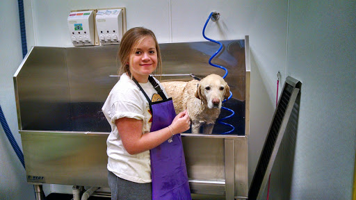 Pet Store «Dog Wash Etc», reviews and photos, 1037 Forest Ave, Portland, ME 04103, USA