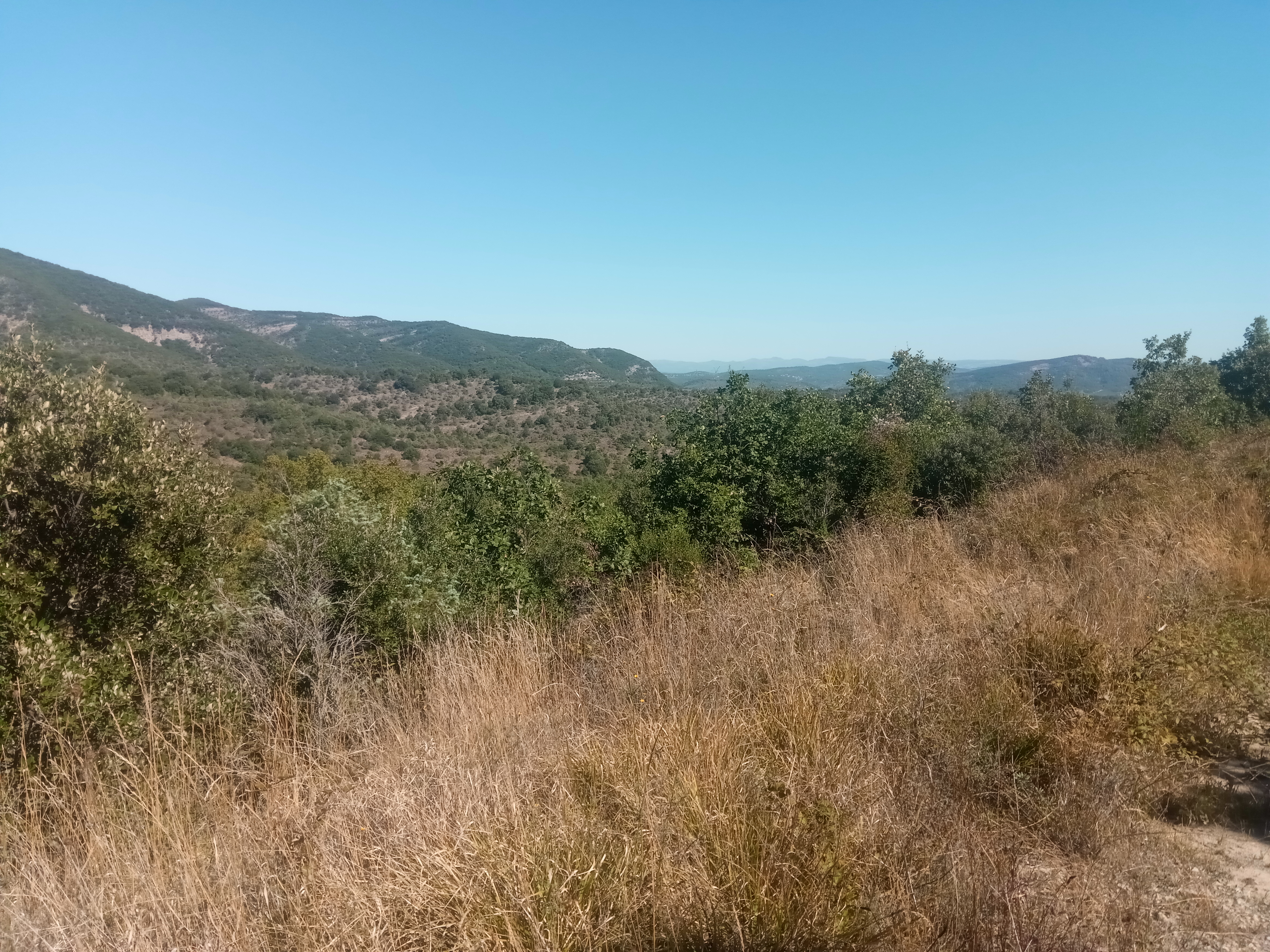 Photo n° 7 de l'avis de jean-marc.l fait le 06/09/2020 à 19:42