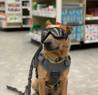 Image from the Google listing for Top Dog k9 training