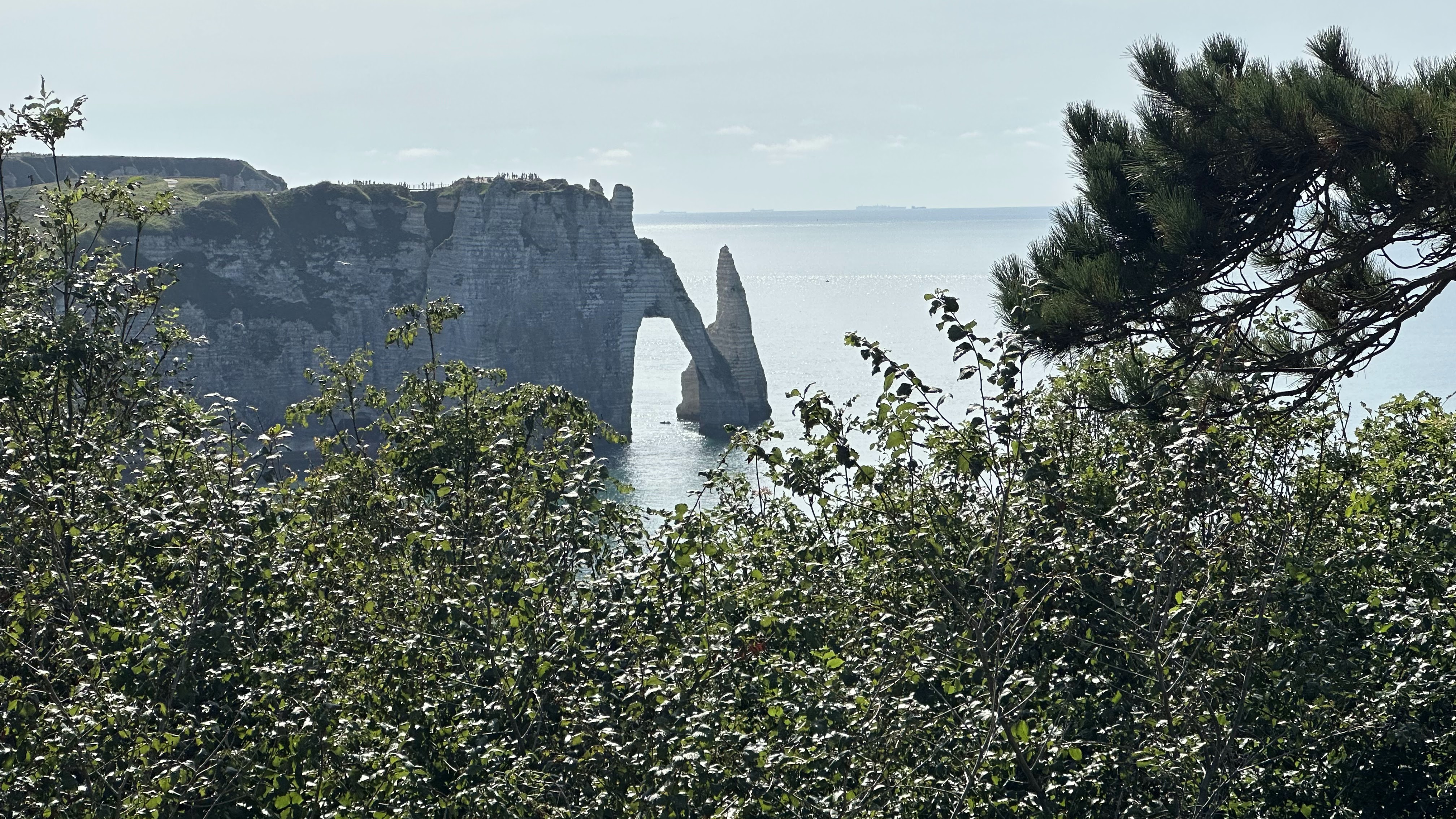 Photo n° 1 de l'avis de Rodolphe.C fait le 25/08/2023 à 16:23