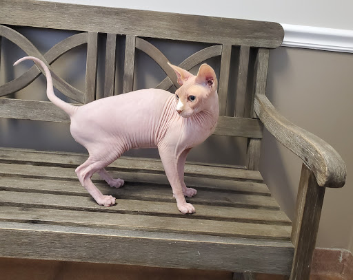 23 Highland Pavilion Ct, Hiram, GA 30141, USA