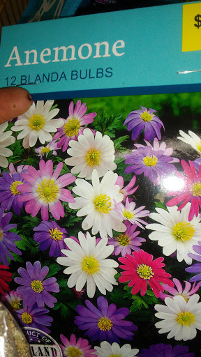 Discount Store «Dollar General», reviews and photos, 3958 PA-257, Seneca, PA 16346, USA