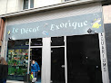 Le Décor Exotique Paris