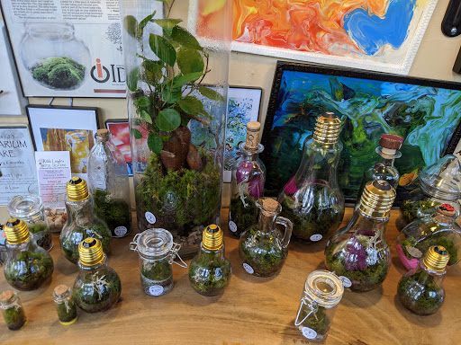 Craft Store «Kress Emporium», reviews and photos, 19 Patton Ave, Asheville, NC 28801, USA