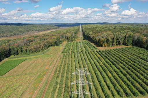 Orchard «Riamede Farm», reviews and photos, 122 Oakdale Rd, Chester, NJ 07930, USA