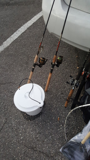 Fishing Store «44 Tackle Co.», reviews and photos, 2421 Hwy 44 W, Inverness, FL 34453, USA