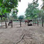 Photo n°2 de l'avis de Noemi.. fait le 02/10/2021 à 20:17 sur le  Ristorante Il Cerqueto à Marzano di Nola