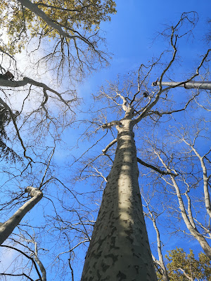 SERPE - Agence d'Avignon à Le Thor