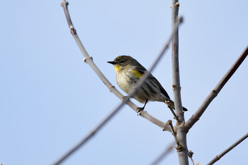 Nature Preserve «Woodbridge Ecological Reserve», reviews and photos, 7730 W Woodbridge Rd, Lodi, CA 95242, USA