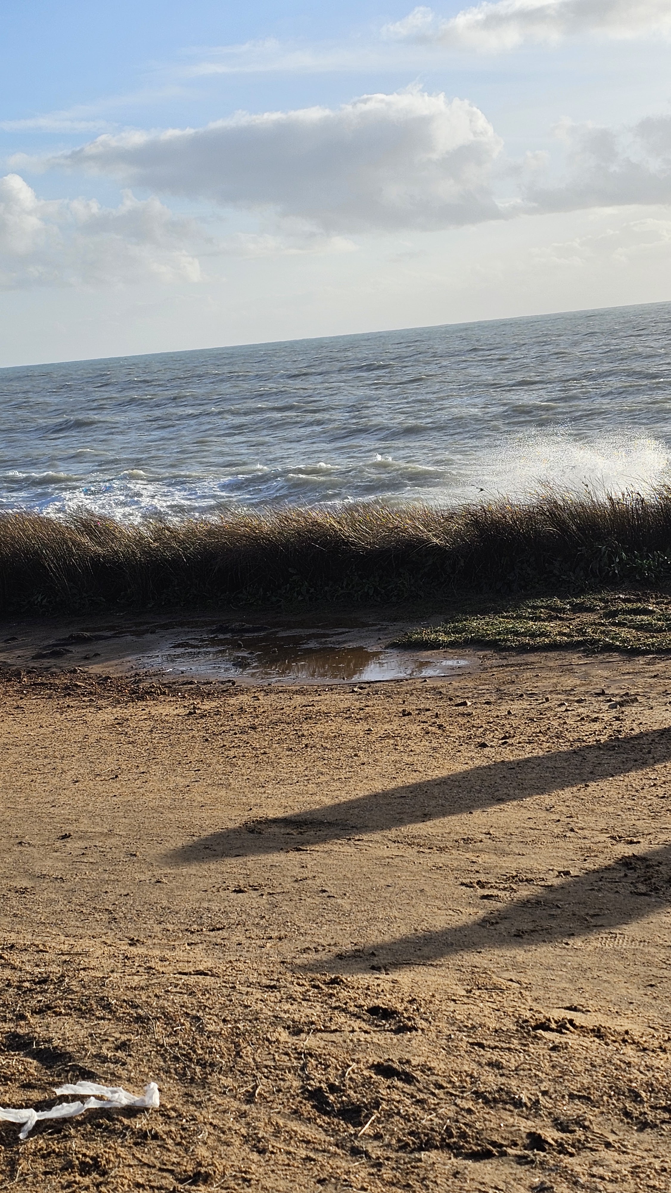 Photo n° 3 de l'avis de Cécile.a fait le 25/02/2024 à 16:02