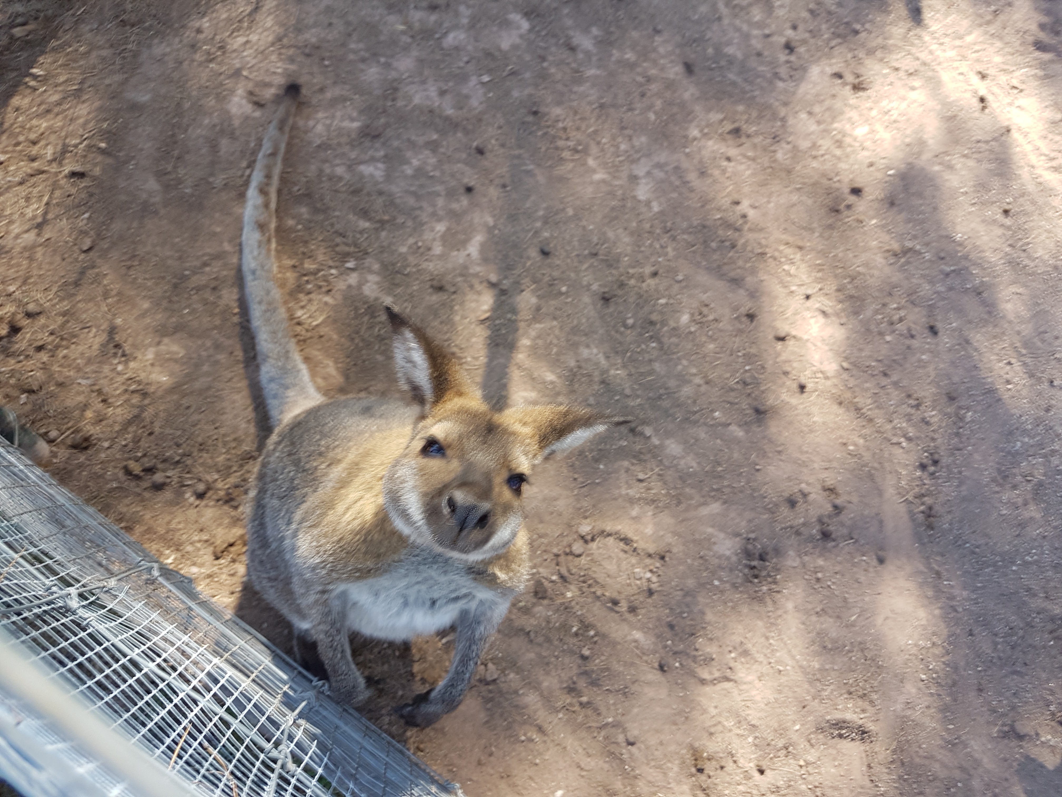 Photo n° 24 de l'avis de Armand.A fait le 09/09/2018 à 19:52
