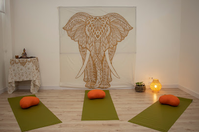 Centro de yoga, Zentro. Consciencia y bienestar