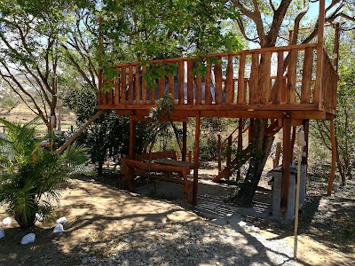 Photos of The treehouse Camping Zone