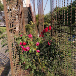 Photo n°12 de l'avis de Giuseppe.a fait le 02/06/2021 à 21:37 sur le  Villa Signorini Hotel & Events à Ercolano