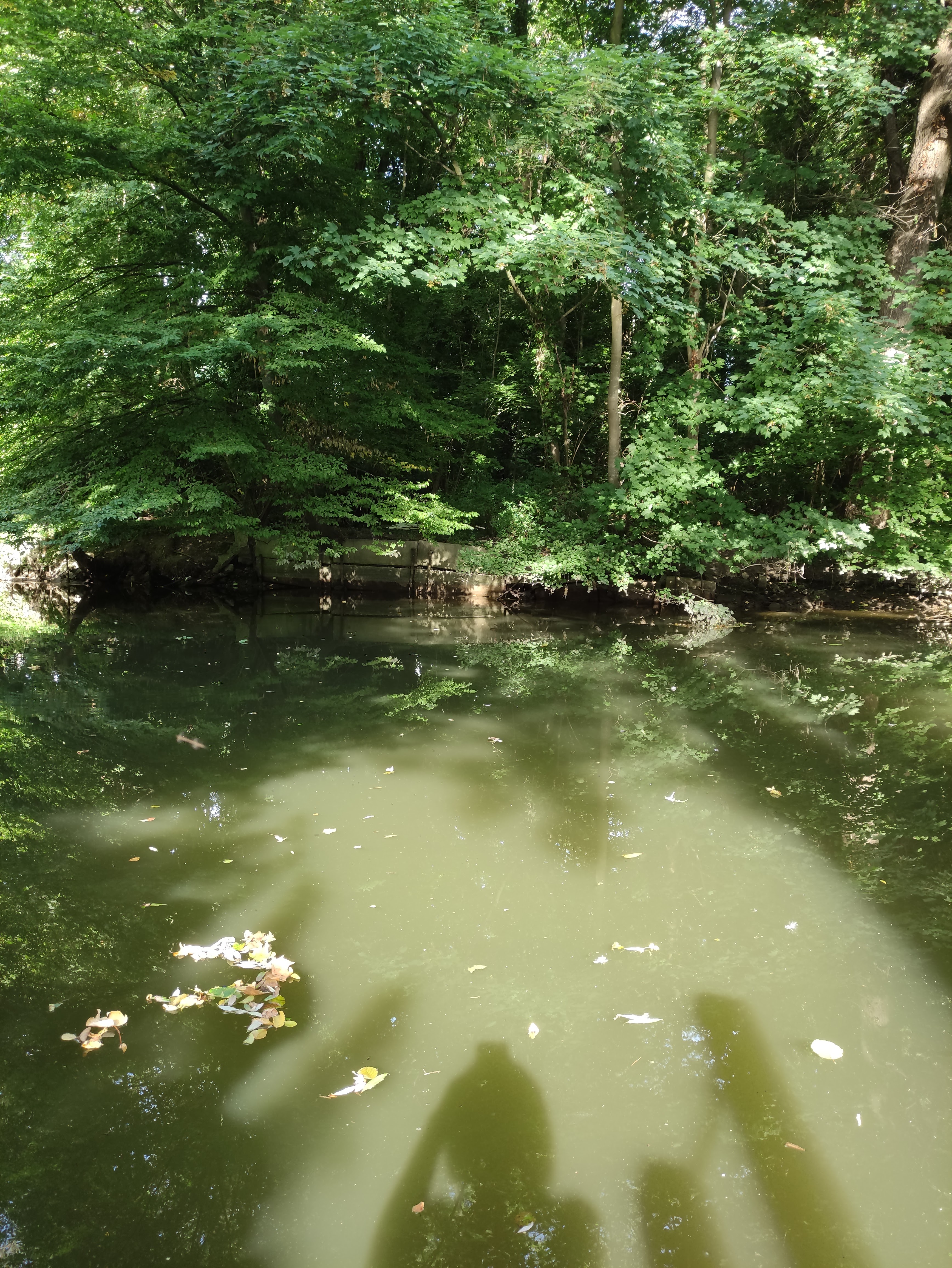 Photo n° 11 de l'avis de Naura.a fait le 04/09/2021 à 22:52