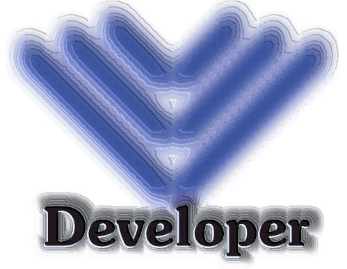 developer Servicios Informaticos