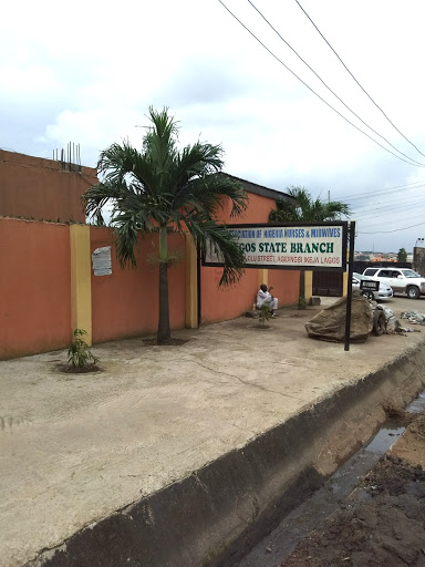 National Association Of Nigerian Nurses And Midwives - Lagos State Branch, 19 Amara Olu St, Agidingbi, Ikeja, Nigeria, Nursing Agency, state Lagos