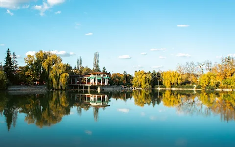 Lake "Borovo Oko" image