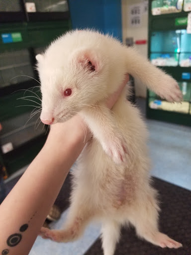 Pet Supply Store «Pet Supplies Plus», reviews and photos, 5315 Airport Hwy, Toledo, OH 43615, USA