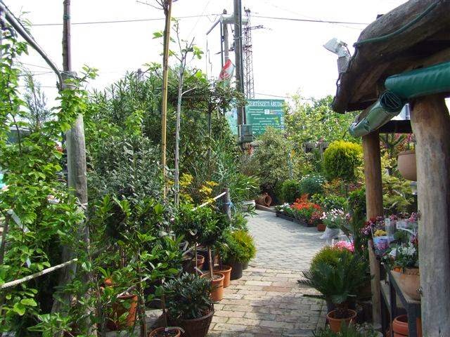 Értékelések erről a helyről: Leskó Kertészet, Solymár - Kertészkedő
