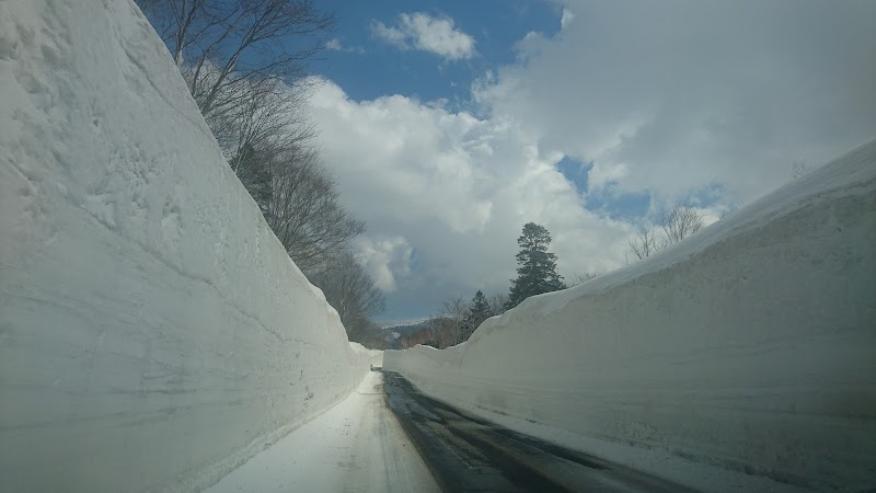 八甲田雪の回廊 青森県青森市荒川沢口国道 観光名所 観光名所 グルコミ