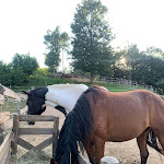 Photo n°4 de l'avis de Gaia.a fait le 28/07/2021 à 22:01 sur le  Ca di Voi à Calizzano