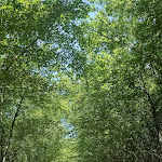 Photo n°4 de l'avis de Massimiliano.e fait le 15/07/2023 à 19:16 sur le  Villaggio Turistico Fiore, Ristorante à Acquasparta