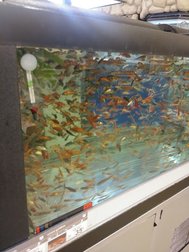 Pet Supply Store «Petco Animal Supplies», reviews and photos, 1350 S Ironton St #120, Aurora, CO 80012, USA