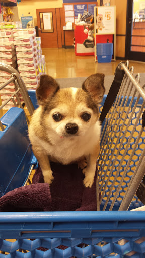Pet Supply Store «PetSmart», reviews and photos, 157 Levittown Pkwy B, Levittown, PA 19055, USA