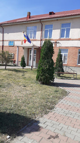 Opinii despre Școala Gimnazială Nicolae Marineanu în <nil> - Școală