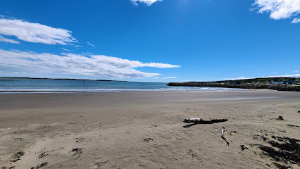 Seal Cove Sand Beach