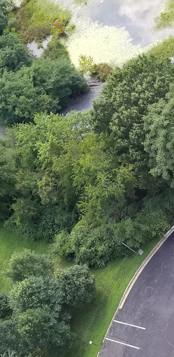 Museum «The George Washington Masonic National Memorial», reviews and photos, 101 Callahan Dr, Alexandria, VA 22301, USA