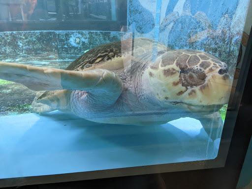 Aquarium «South Carolina Aquarium», reviews and photos, 100 Aquarium Wharf, Charleston, SC 29401, USA