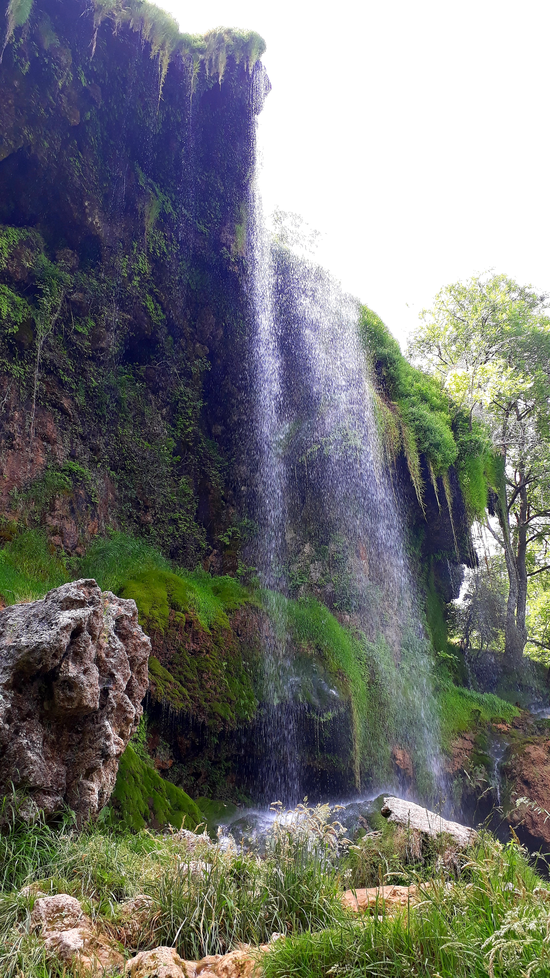 Photo n° 1 de l'avis de le.i fait le 24/06/2019 à 13:09