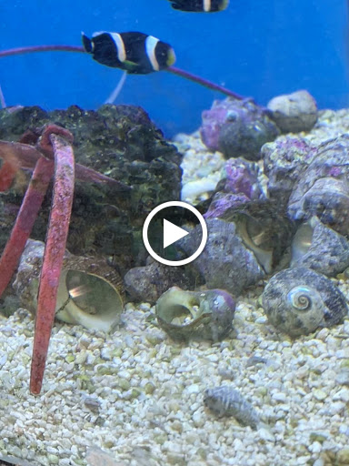 Pet Supply Store «Petco Animal Supplies», reviews and photos, 7110 Dodge St, Omaha, NE 68132, USA