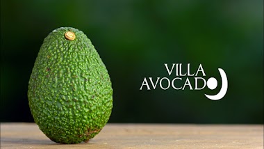Villa Avocado Sa De Cv