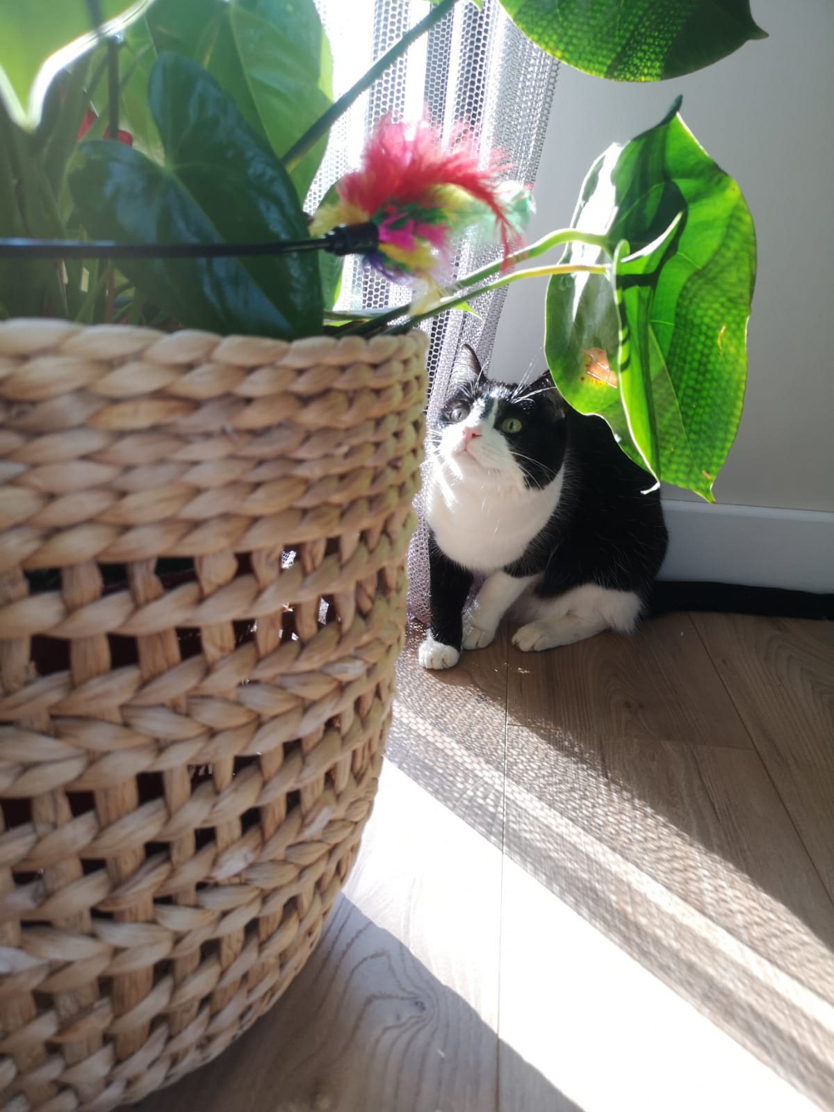 Photo n° 2 de l'avis de OLIVIER. fait le 03/04/2022 à 17:08