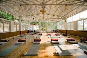 Adhiroha Yoga Teacher Training Rishikesh image