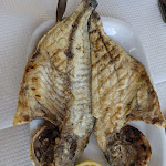 Photo n°1 de l'avis de Jorge. fait le 11/09/2020 à 14:00 sur le  Lobo do Mar à Sesimbra