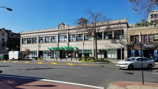 Dollar Store «Dollar Tree», reviews and photos, 100 Mamaroneck Ave, White Plains, NY 10601, USA