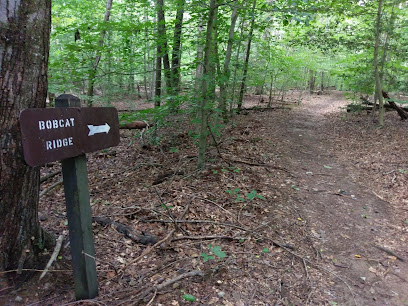 AF1QipOGCFp oEXNnLLmayB1qPgi16wPsDyLzHXcczFu=w408 h306 k no - Stafford Managed IT Services