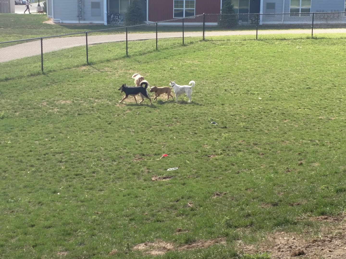 Central Bark Park