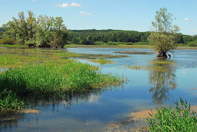 Lac de la Vingeanne à Longeau-Percey