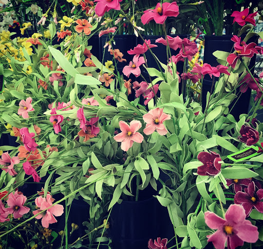 Craft Store «Hobby Lobby», reviews and photos, 5422 Forest Dr Suite 110, Columbia, SC 29206, USA