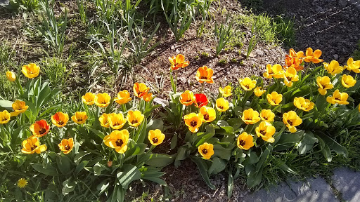 Shopping Mall «Ivy Place Shopping Village», reviews and photos, 4700 900 E, Salt Lake City, UT 84117, USA