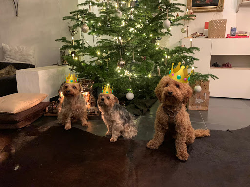 Dr.med.vet. Kesten unter Troisdorf, Rheinland-Pfalz